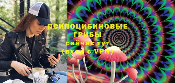 соль курить ск Горняк