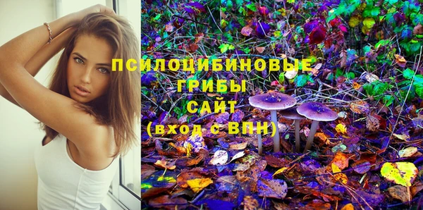 таблы Горнозаводск