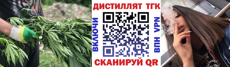 Купить  Киселёвск  ТГК концентрат 