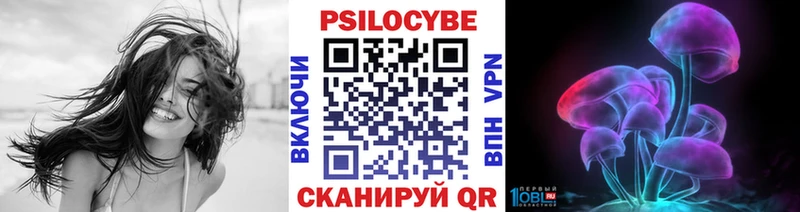 Псилоцибиновые грибы ЛСД Киселёвск